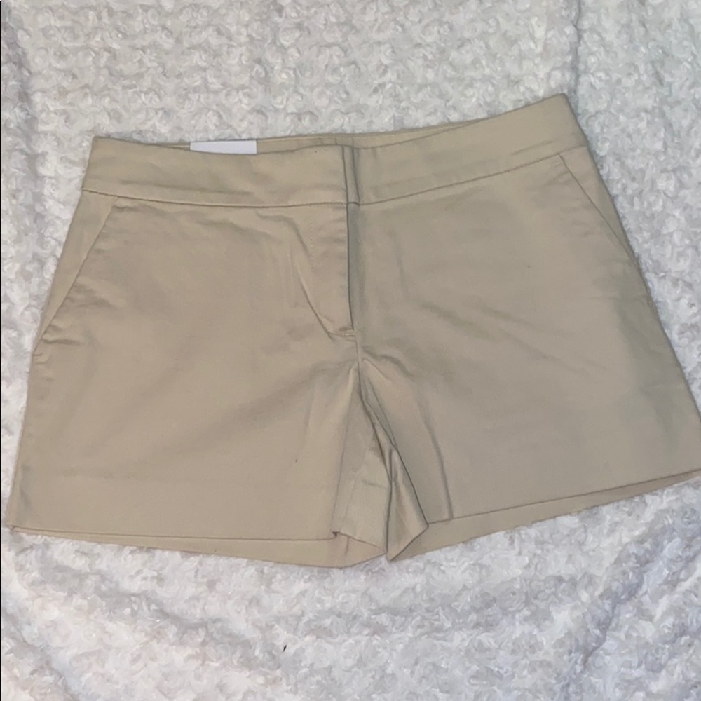 NWT - Loft Khaki Shorts
